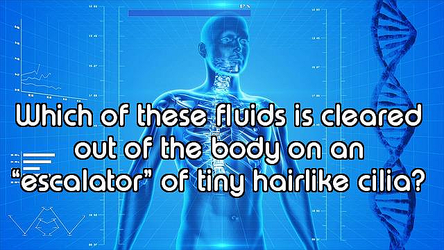 How Well Do You Know the Human Body?
