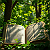 Article: Verses in the Verdure: The Quran Amidst Eternal Green
